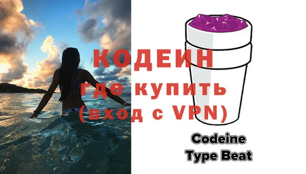 сатива Верея