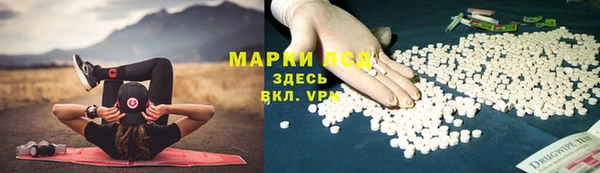 сатива Верея