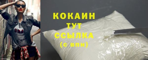 сатива Верея
