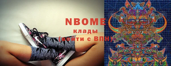 сатива Верея