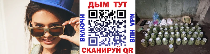 Каннабис сатива  цены   Любань 